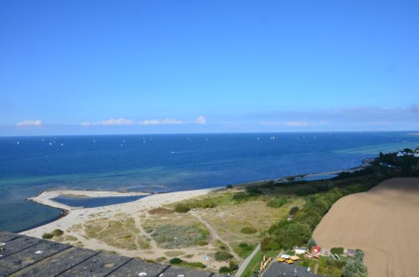 Landpatie